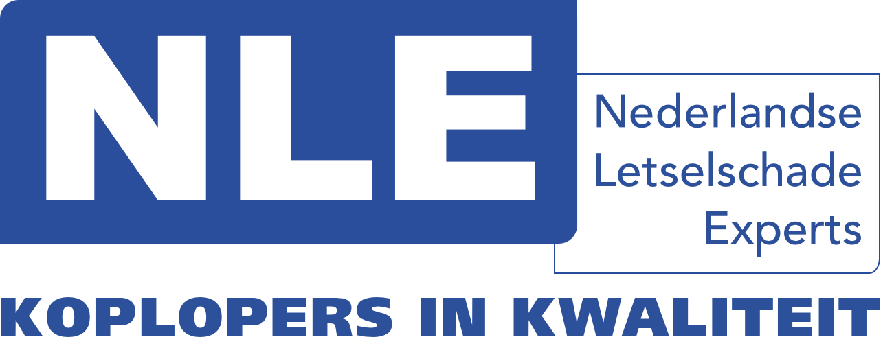Logo Branchevereniging Nederlandse Letselschade Experts (NIS)
